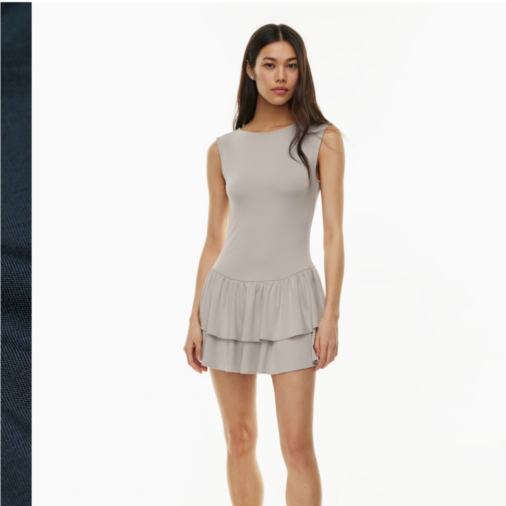 Aritzia Bloomsbury Dress (Ashen) Limited edition! NWT